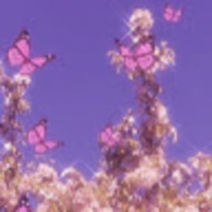 Meet your Posher, Dalila